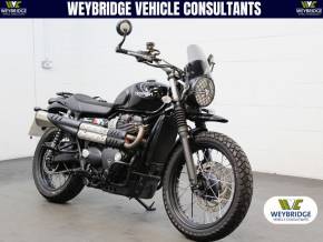TRIUMPH SCRAMBLER 900 at Weybridge Isuzu West Byfleet